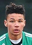 Lee Angol