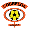  logo